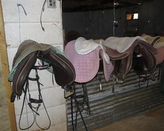 ENGLISH SADDLES FOR TRAINING.
