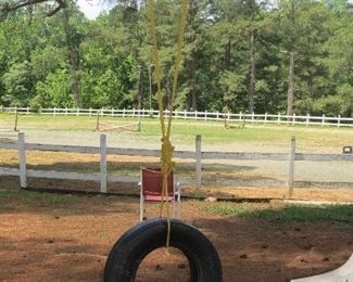 EVERYONE NEEDS A TIRE SWING!
