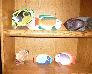 fish collection
