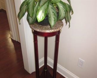 Pedestals Marble Top/Plants 