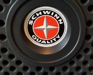 Schwann recumbent bike trainer