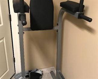 Dip/leg raise machine