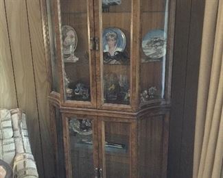 Full view curio