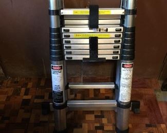 Telescoping ladder