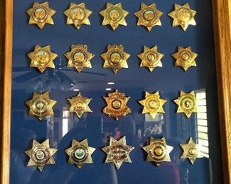 Obsolete Police Badge Collection