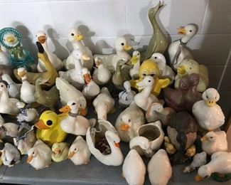 Another photo of ducks and geese. Wait -- there's more!