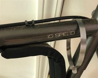 15 Speed Bicycle