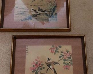 pictures of alligators