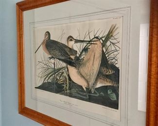 James Audubon lithograph.