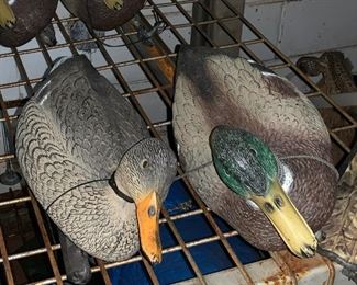 They make a beautiful Couple!