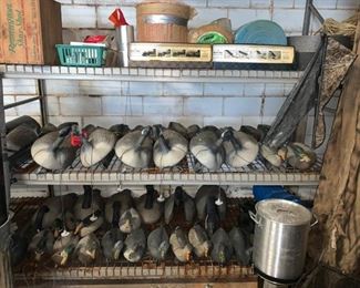 Lots of Duck & Geese Decoys!