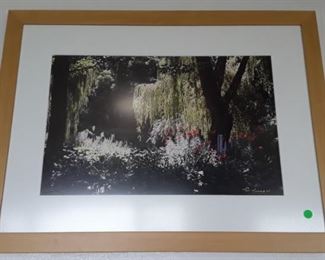 Paul Dunne Photography