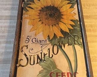 Sunflower Seed Collectible Framed Print