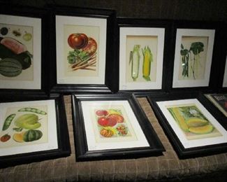Vintage Fruit Prints