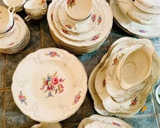 Rosenthal 88 pc