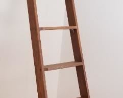 Library Ladder a