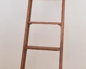Library Ladder