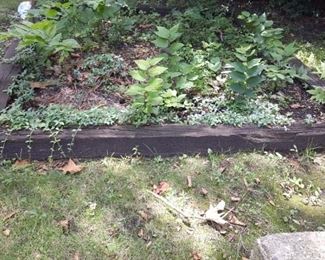 Railroad Ties