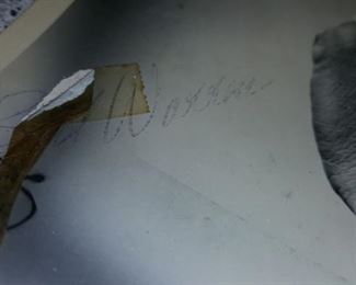 Signature