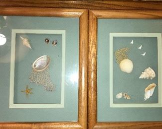 Several shadow box style shell decor.