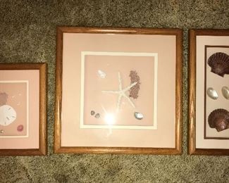 Several shadow box style shell decor.