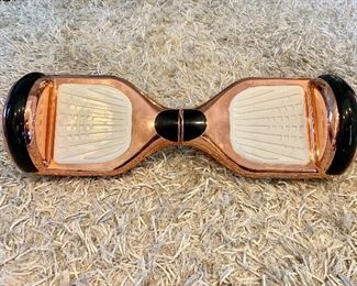 Hoverboard (needs charger)