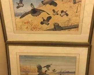 Framed Art Bird Prints