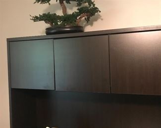 Japanese bonsai tree