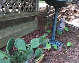 Planters/flower pots and finds