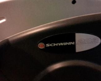 Schwinn 203 recumbent stationary bike.