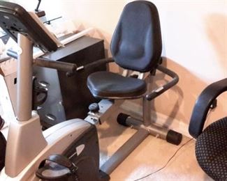 Schwinn 203 recumbent stationary bike.