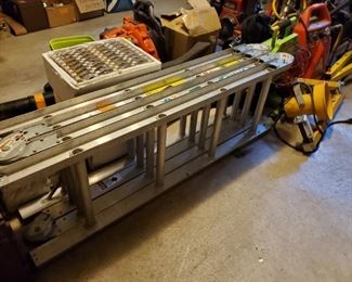 Folding ladder