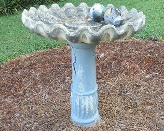 Bird Bath