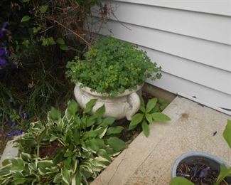 Cement planter