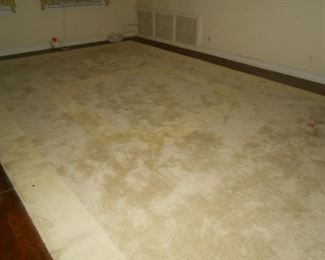 Very large area rug (dimensions coming next week)