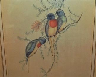 J Gould bird prints