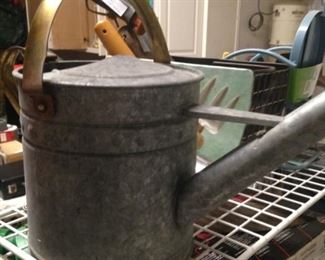 Don't forget to water!