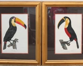 Toucan Prints in frames