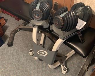 Nautilas weights on a stand,  weight bench