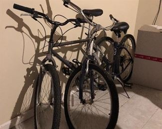 Schwinn bicycles 