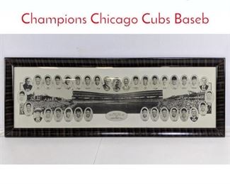 Lot 256 1929 National League Champions Chicago Cubs Baseb