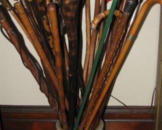 Some of the walking sticks