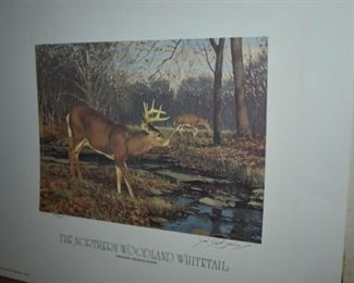 Print, "The Northern Woodland WhiteTail by La Blanc