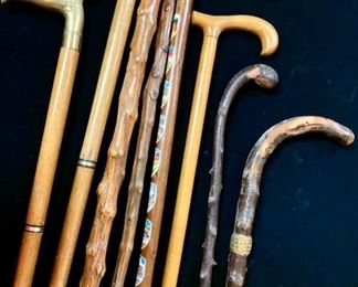 34. Collection of Walking Sticks