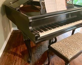 60. Wm. Knabe & Co. Baby Grand in Satin Ebony Finish, #152049, w/ Cheetah Print Bench, 5'4"