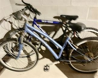 74. Crestwood DGx Women's Bicycle