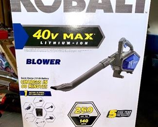 Cobalt blower battery powered