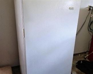 Standing Freezer