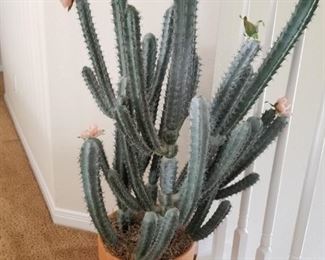 artificial cactus