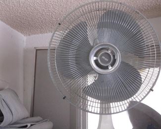 Variety of Fans